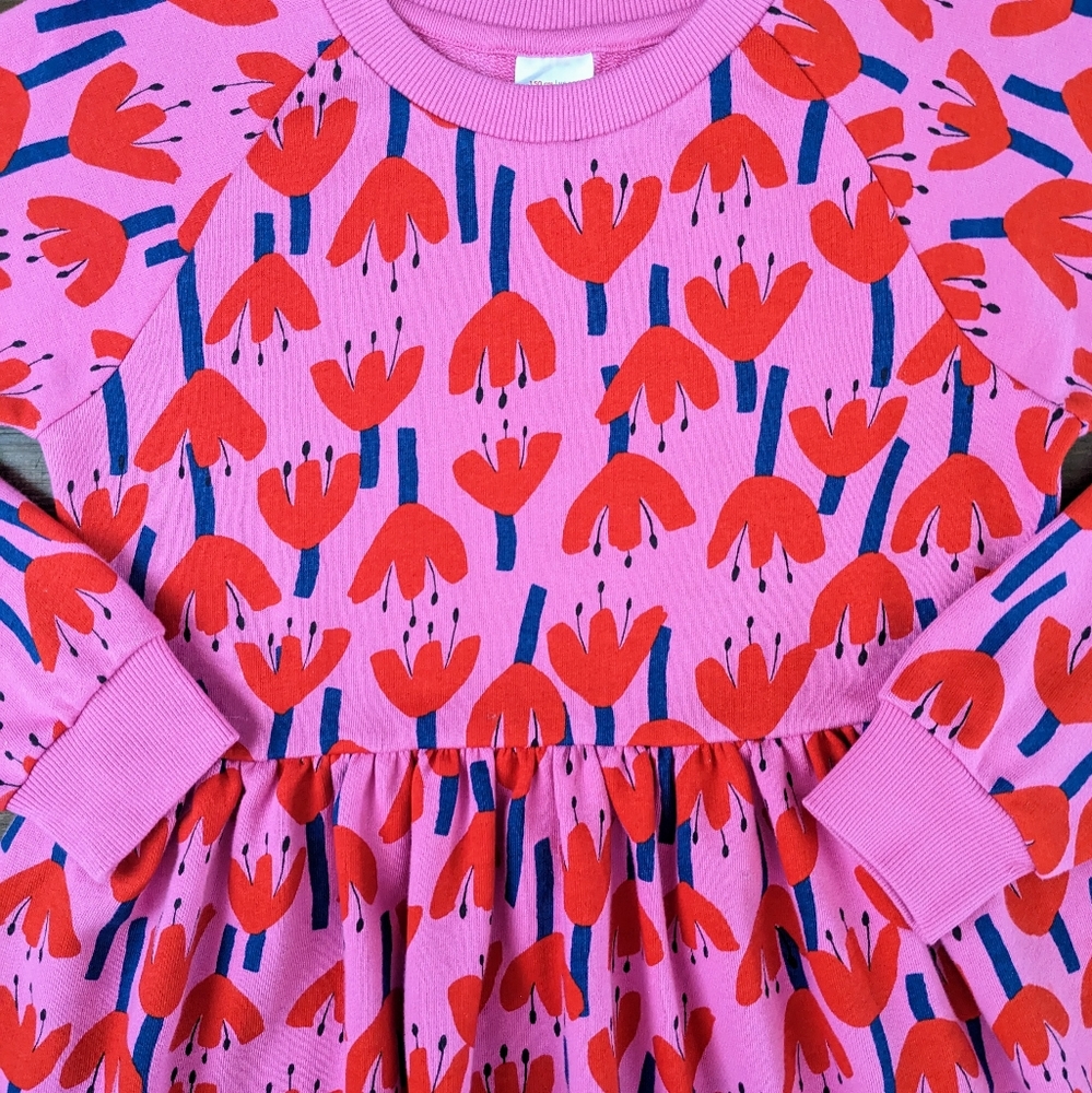 NWT Hanna Andersson Dress